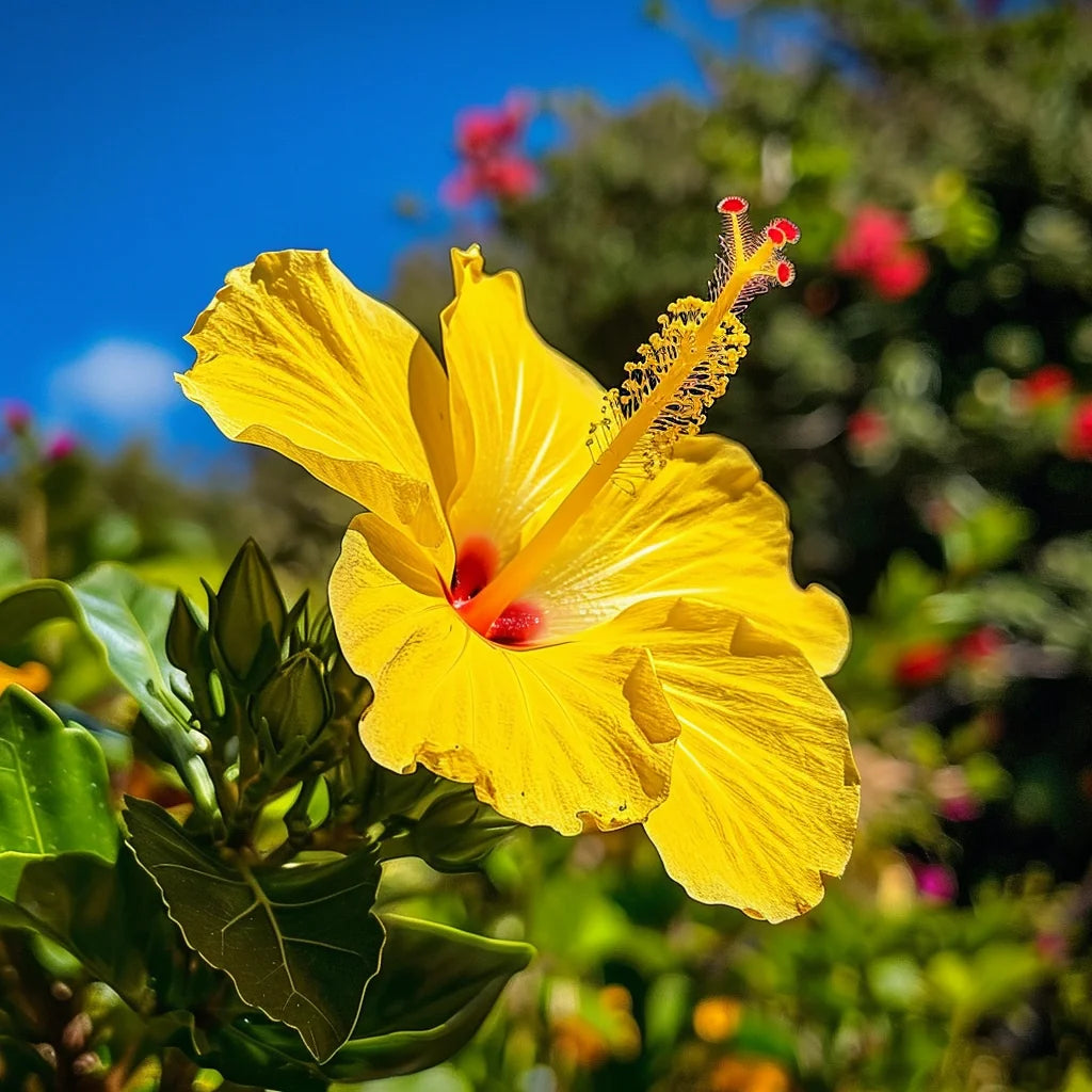 Yellow Hibiscus Flower Diamond Art Kit