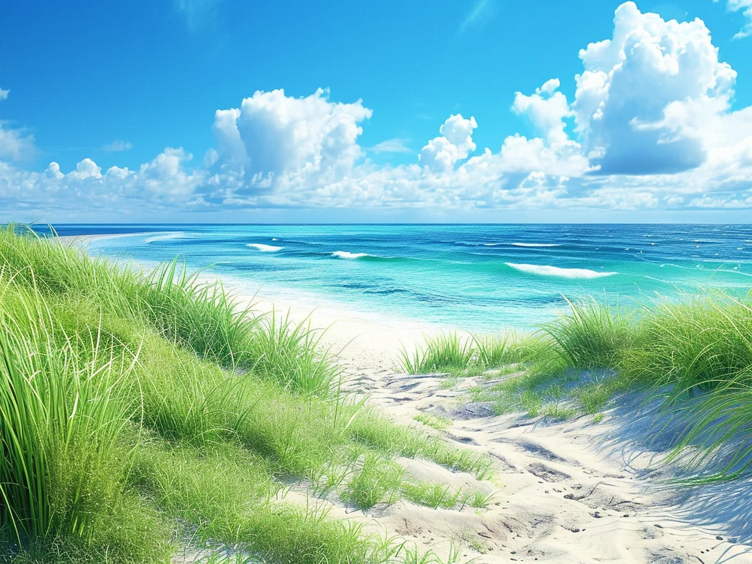 Grassy Path To The Beach Diamond Art Kit