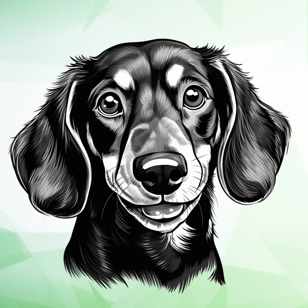 Black White Happy Dachshund Diamond Art Kit