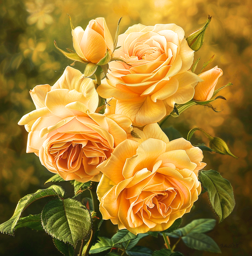 Yellow Cabbage Roses Diamond Art Kit