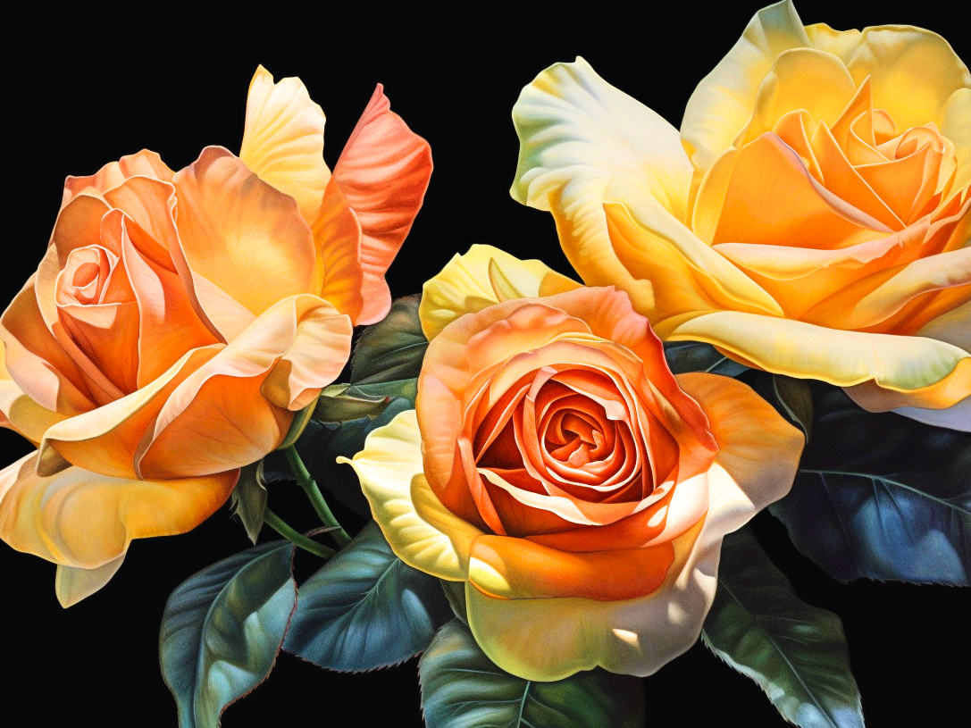 Three Yellow Orange Roses Diamond Art Kit