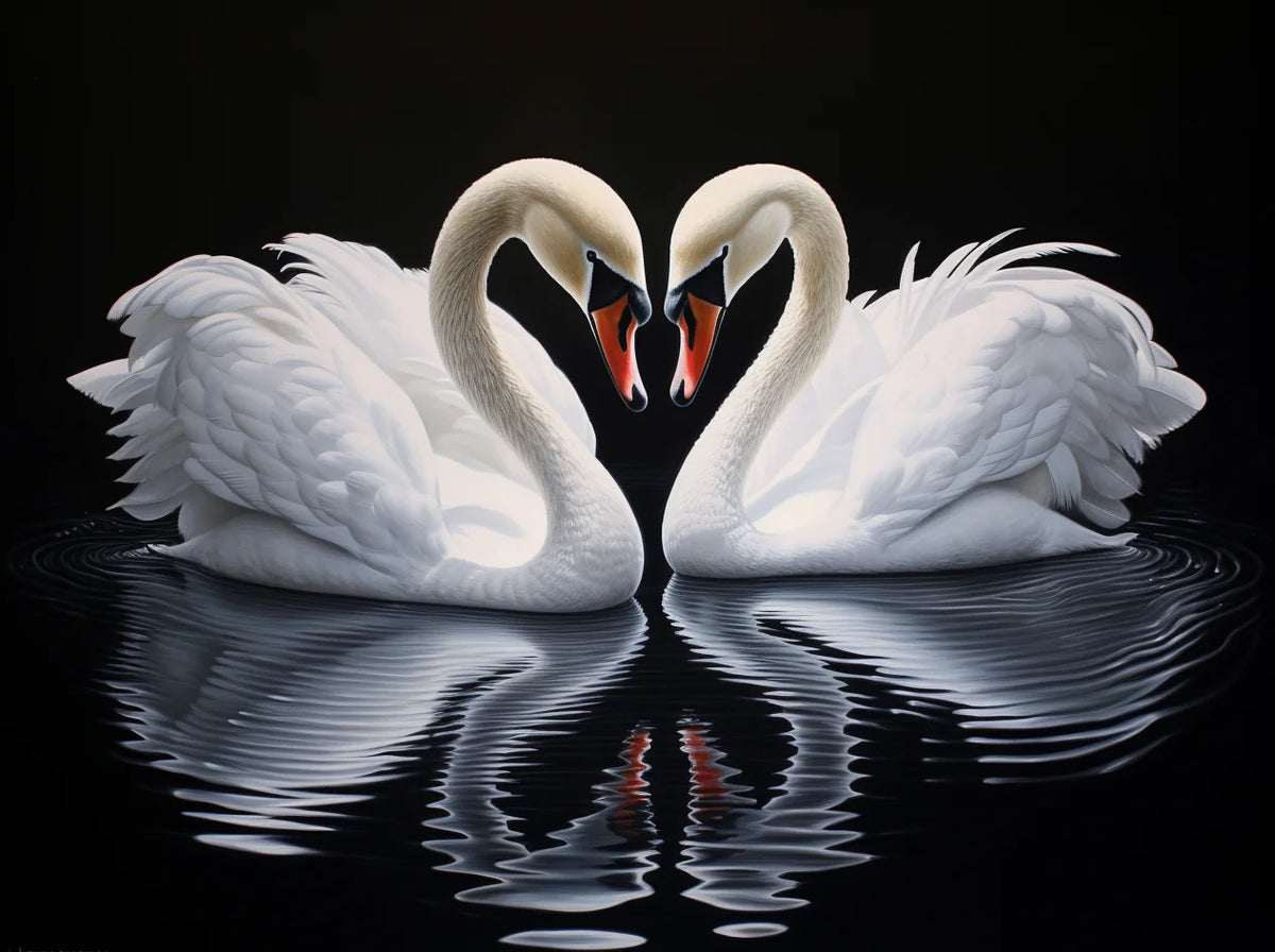 Black Background White Swans Diamond Art Kit