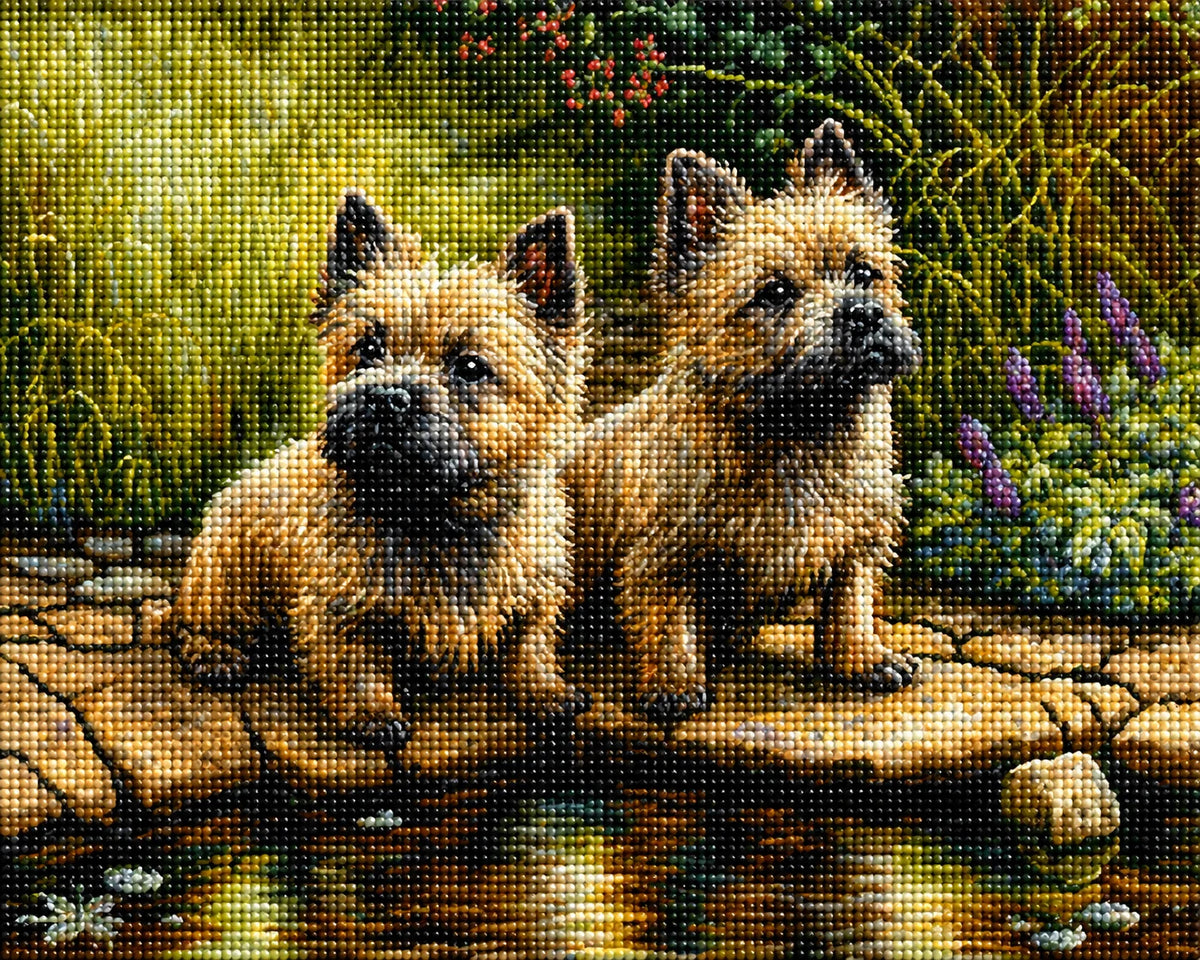 Cairns Terriers By The Pond Diamond Art Kit