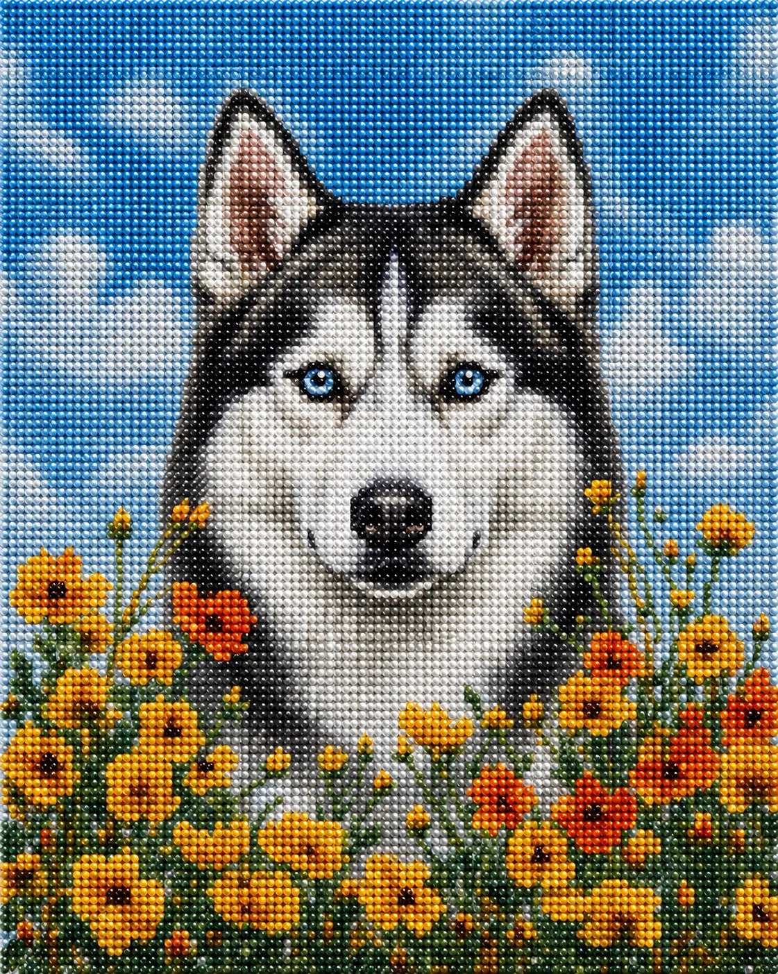 Yellow Poppies Siberian Husky Diamond Art Kit — diamond art kit canvas