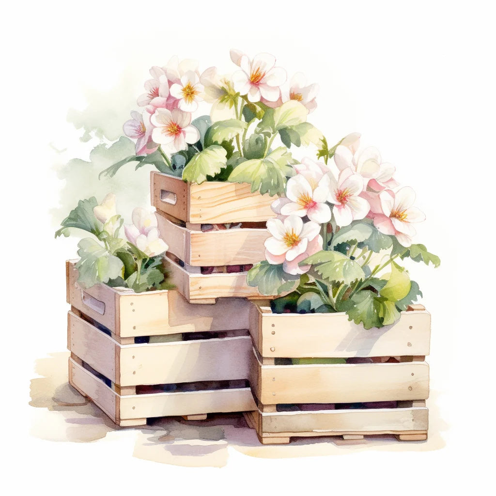 Pink And White Flower Crates Diamond Art Kit