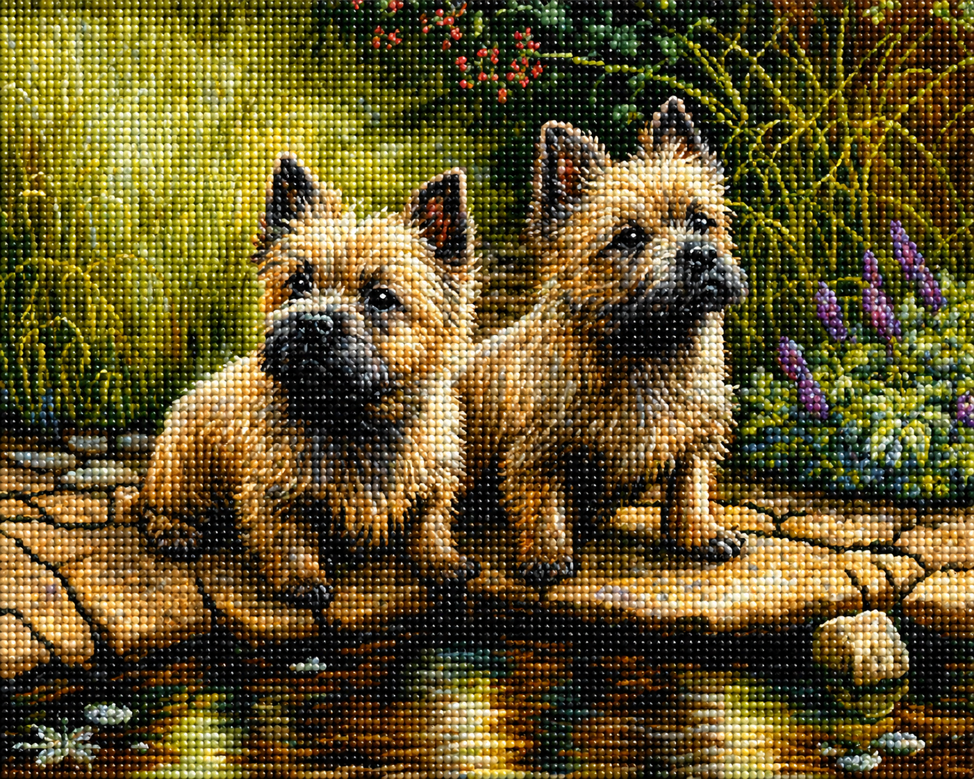 Cairns Terriers By The Pond Diamond Art Kit