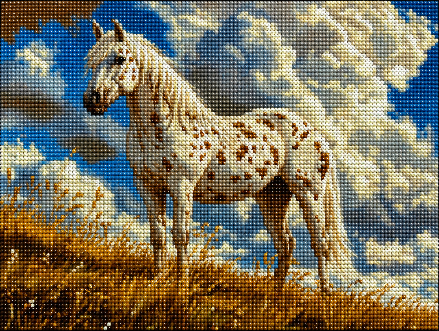 Clouded Sky White Spotted Mare Diamond Art Kit
