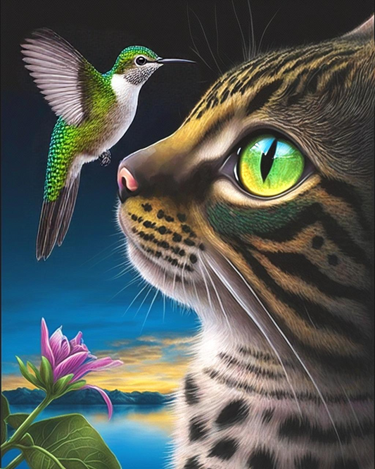 Cat And Hummingbird Diamond Art Kit