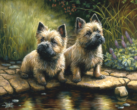 Cairns Terriers By The Pond Diamond Art Kit