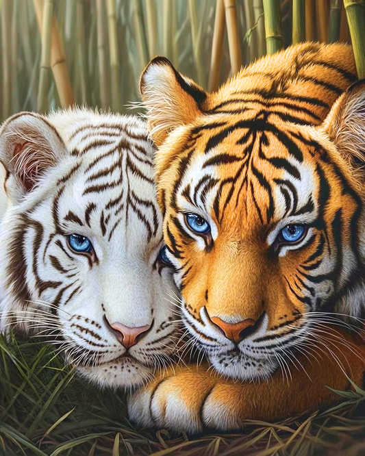 White And Orange Tiger Diamond Art Kit