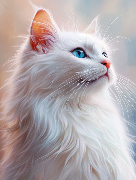 Long Hair White Cat Diamond Art Kit
