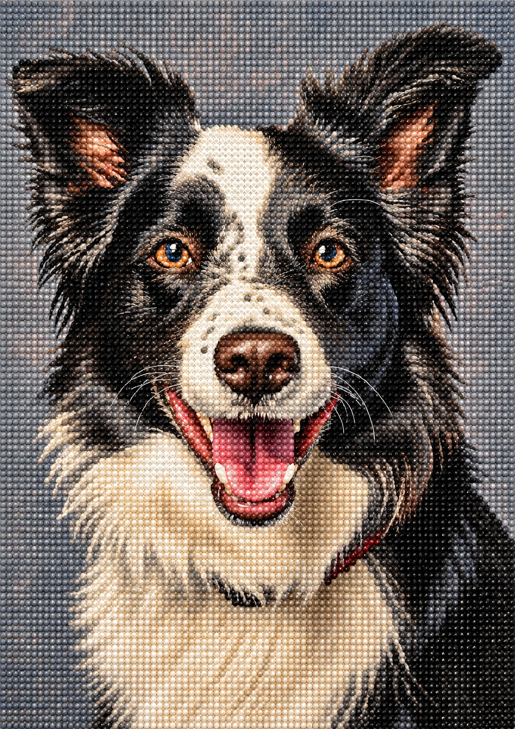 Happy Border Collie Diamond Art Kit