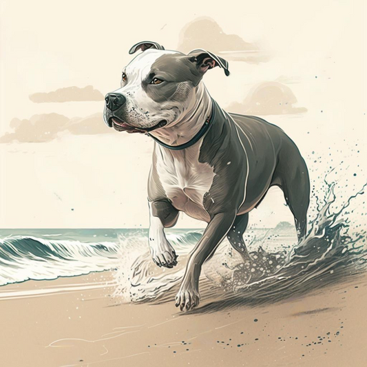 Pitbull on the Beach Diamond Art Kit