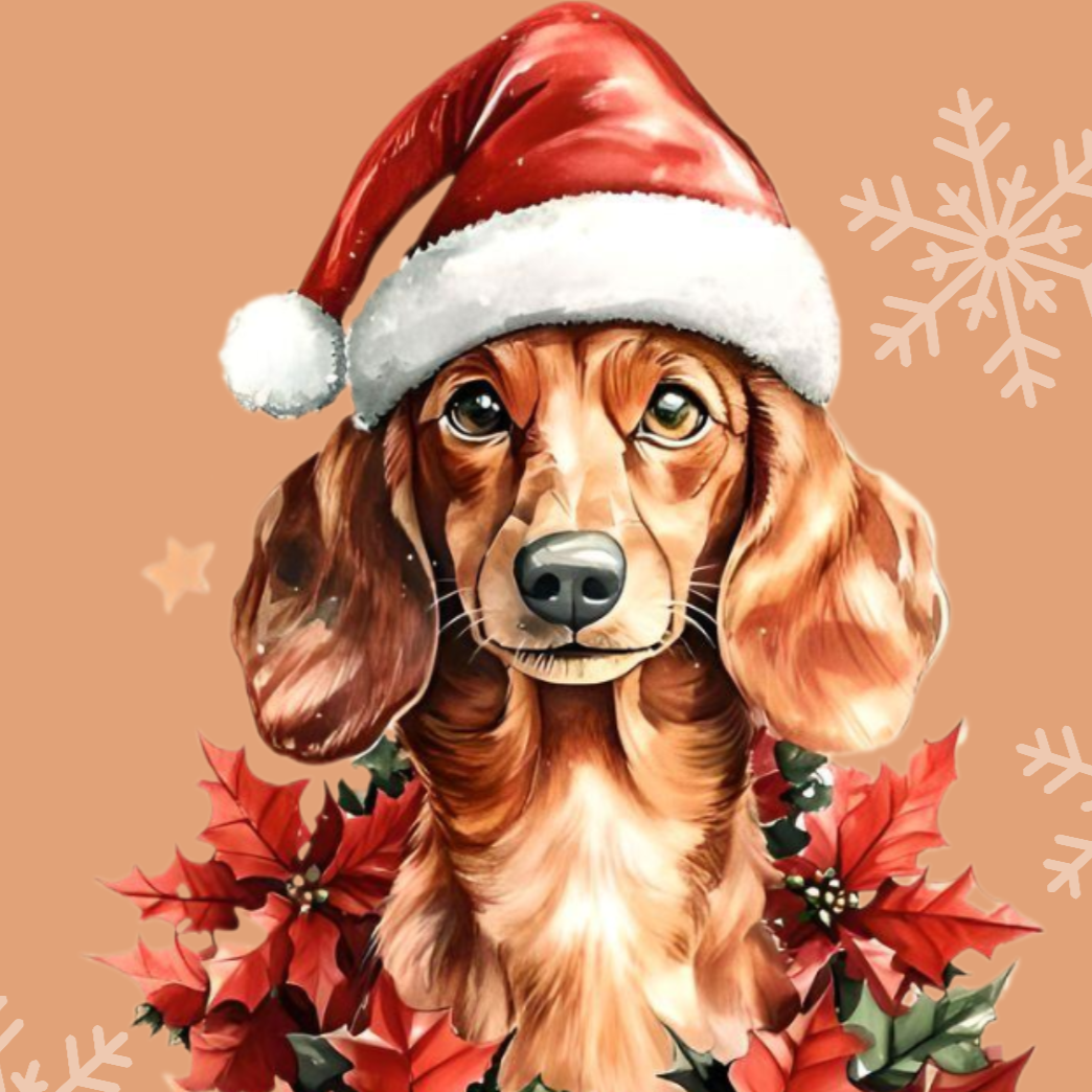 Poinsettia Dachshund Diamond Art Kit