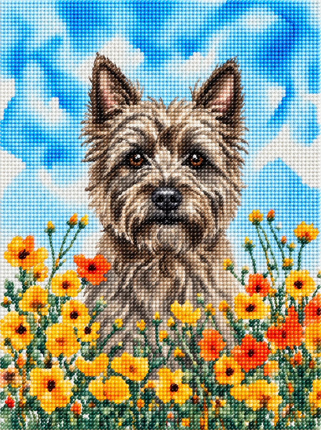 Yellow Poppies Cairn Terrier Diamond Art Kit