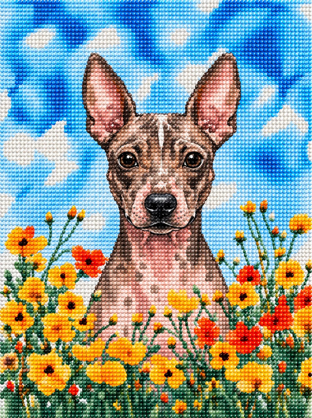Yellow Poppies American Hairless Terrier Diamond Art Kit